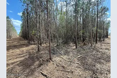0 Guinea Mill Road, Ernul, NC 28527 - Photo 13