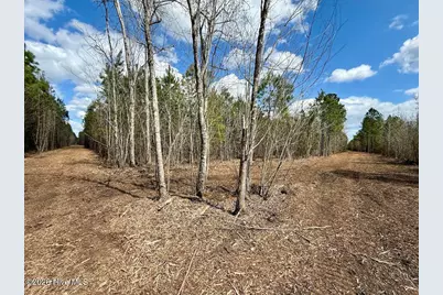 0 Guinea Mill Road, Ernul, NC 28527 - Photo 15