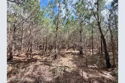 0 Guinea Mill Road, Ernul, NC 28527 - Photo 19