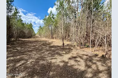 0 Guinea Mill Road, Ernul, NC 28527 - Photo 21