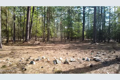Tbd Horse Creek Run, Pinehurst, NC 28374 - Photo 1