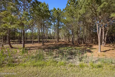 11 E Diamond Shoal Lane, Vandemere, NC 28587 - Photo 3
