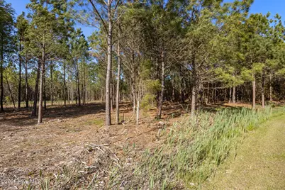 11 E Diamond Shoal Lane, Vandemere, NC 28587 - Photo 5
