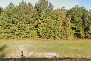 000 W Hooks River Rd, Goldsboro, NC 27530 - Photo 1
