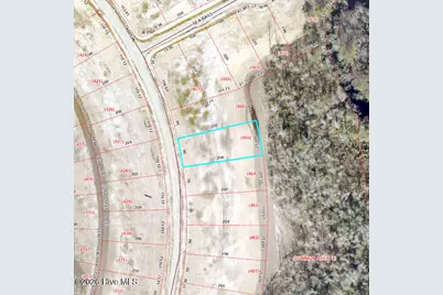 2009 Tarpon Trail, New Bern, NC 28562 - Photo 29