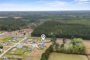 205 Kayla Dawn Ct, Maple Hill, NC 28454 - Photo 47
