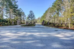 236 Sabal Pond Wy, Castle Hayne, NC 28429 - Photo 49