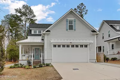 236 Sabal Pond Way, Castle Hayne, NC 28429 - Photo 1