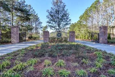 236 Sabal Pond Way, Castle Hayne, NC 28429 - Photo 47