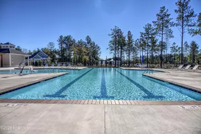 236 Sabal Pond Way, Castle Hayne, NC 28429 - Photo 59