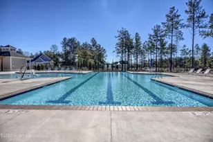 236 Sabal Pond Wy, Castle Hayne, NC 28429 - Photo 59