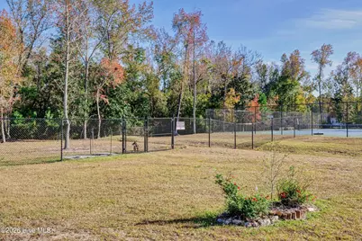 236 Sabal Pond Way, Castle Hayne, NC 28429 - Photo 83