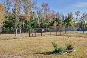 236 Sabal Pond Wy, Castle Hayne, NC 28429 - Photo 83