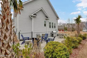 236 Sabal Pond Wy, Castle Hayne, NC 28429 - Photo 41