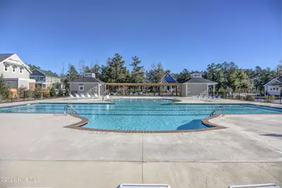 236 Sabal Pond Way, Castle Hayne, NC 28429 - Photo 61
