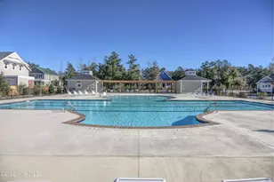 236 Sabal Pond Wy, Castle Hayne, NC 28429 - Photo 61