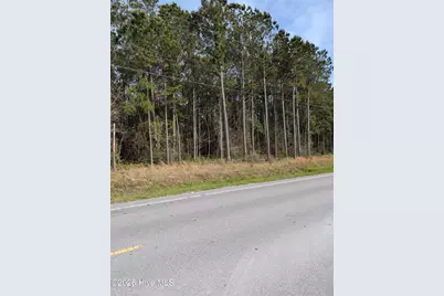 1217 Hammocks Beach Road, Swansboro, NC 28584 - Photo 1
