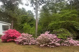 148 Dixie Trail, Hamlet, NC 28345 - Photo 21