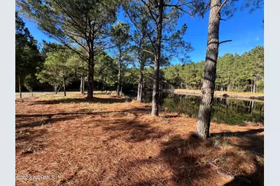 Lot 69 Dowry Creek W, Belhaven, NC 27810 - Photo 19
