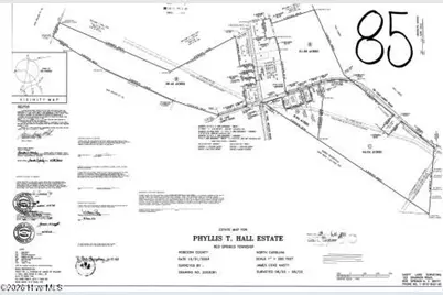 Tbd Old Lowery Rd, Red Springs, NC 28377 - Photo 3