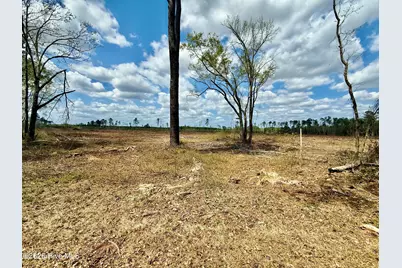 Tbd Old Lowery Rd, Red Springs, NC 28377 - Photo 1