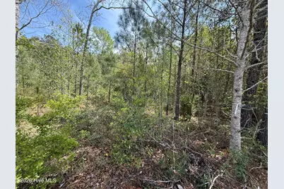 2981 Lyndhurst Terrace SW, Shallotte, NC 28470 - Photo 7