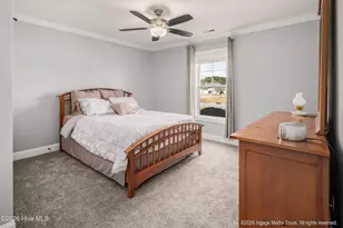 728 Red Birch Ln, Greenville, NC 27858 - Photo 17