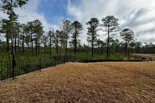 2084 Willowleaf Dr, Leland, NC 28451 - Photo 21