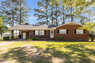 113 Vandiford-Thomas Rd, Snow Hill, NC 28580 - Photo 1