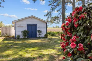113 Vandiford-Thomas Rd, Snow Hill, NC 28580 - Photo 49