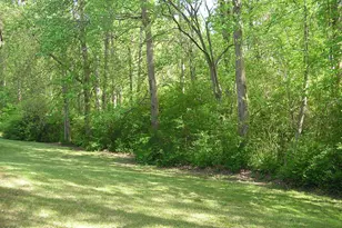 3128 Ruth Ct, Greenville, NC 27834 - Photo 27