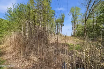594 Drum Hill Road, Gates, NC 27937 - Photo 35