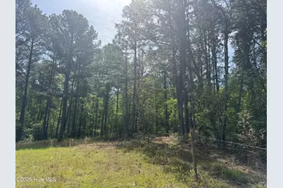 490 Springhill Church Road, Hamlet, NC 28345 - Photo 41