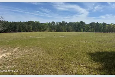 490 Springhill Church Road, Hamlet, NC 28345 - Photo 53