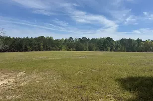 490 Springhill Church Rd, Hamlet, NC 28345 - Photo 53