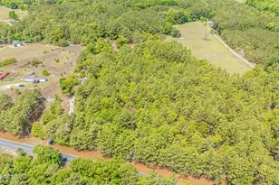 490 Springhill Church Rd, Hamlet, NC 28345 - Photo 69