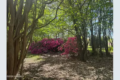 490 Springhill Church Road, Hamlet, NC 28345 - Photo 29