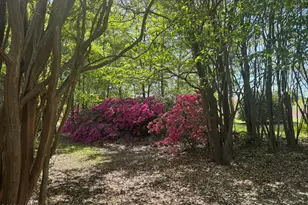490 Springhill Church Rd, Hamlet, NC 28345 - Photo 29