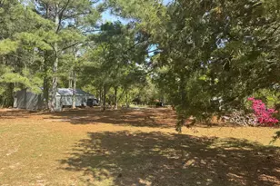 490 Springhill Church Rd, Hamlet, NC 28345 - Photo 21