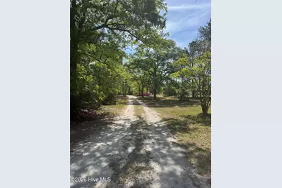 490 Springhill Church Road, Hamlet, NC 28345 - Photo 57