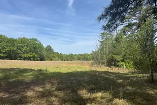 490 Springhill Church Rd, Hamlet, NC 28345 - Photo 47