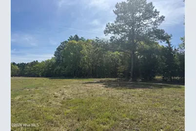 490 Springhill Church Road, Hamlet, NC 28345 - Photo 49