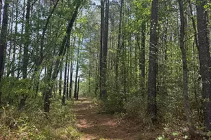 490 Springhill Church Rd, Hamlet, NC 28345 - Photo 37