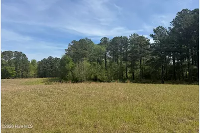 490 Springhill Church Road, Hamlet, NC 28345 - Photo 43