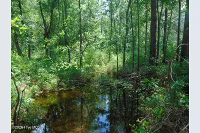 490 Springhill Church Road, Hamlet, NC 28345 - Photo 25