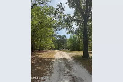 490 Springhill Church Road, Hamlet, NC 28345 - Photo 33