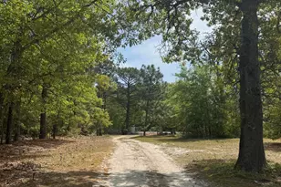 490 Springhill Church Rd, Hamlet, NC 28345 - Photo 33