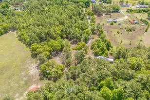 490 Springhill Church Rd, Hamlet, NC 28345 - Photo 67