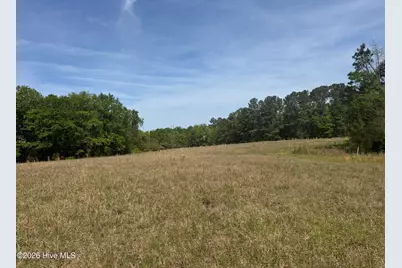490 Springhill Church Road, Hamlet, NC 28345 - Photo 45