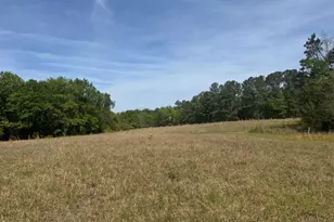 490 Springhill Church Rd, Hamlet, NC 28345 - Photo 45